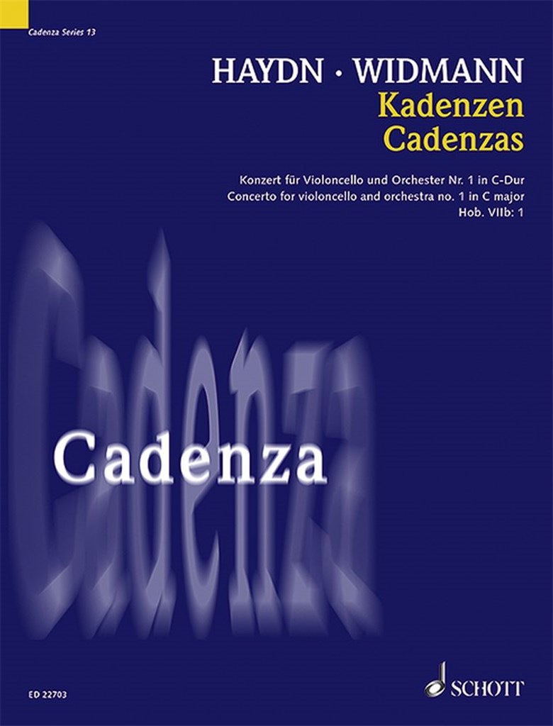 Kadenzen Hob. Viib:1